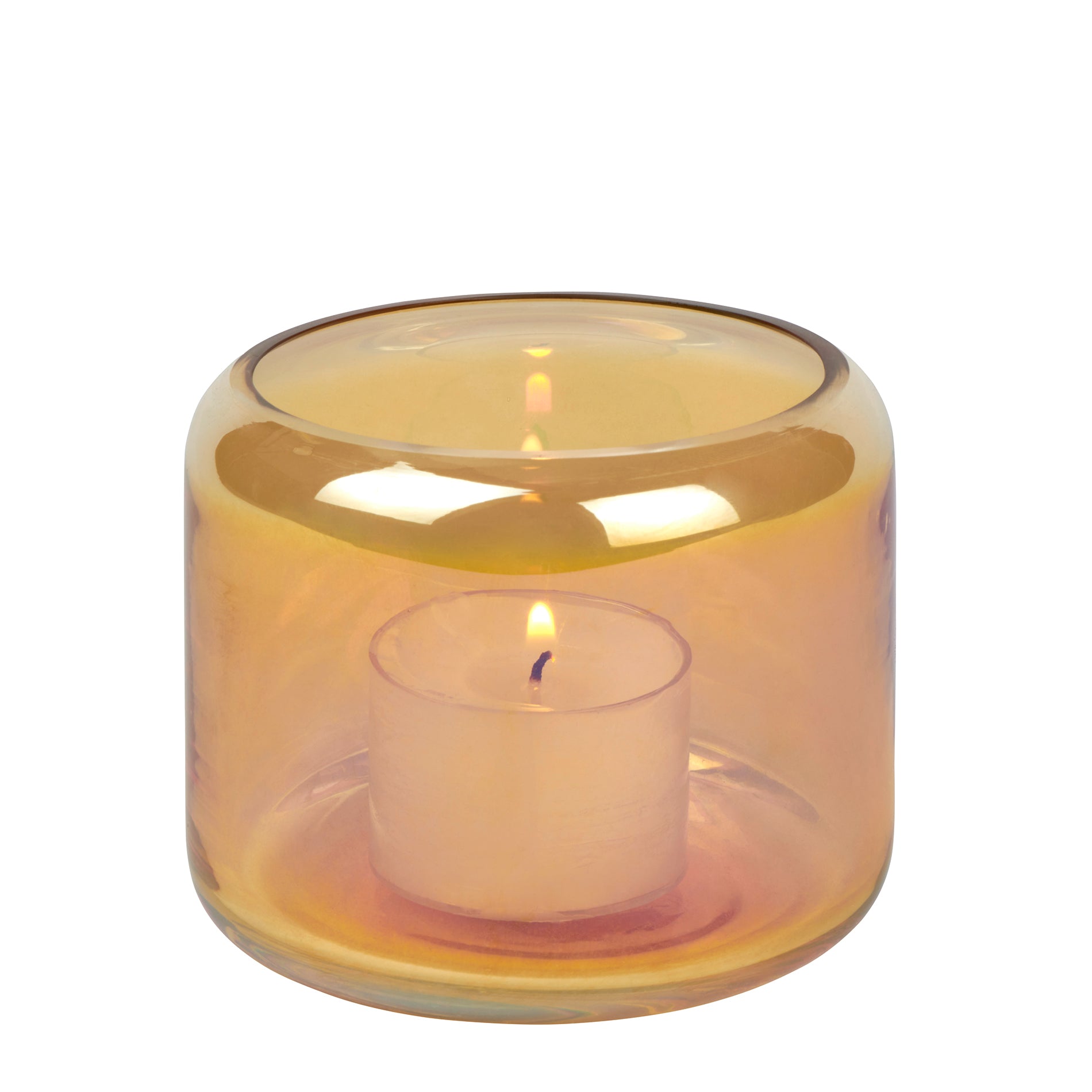 Oudon Windlicht Glas strelitzie