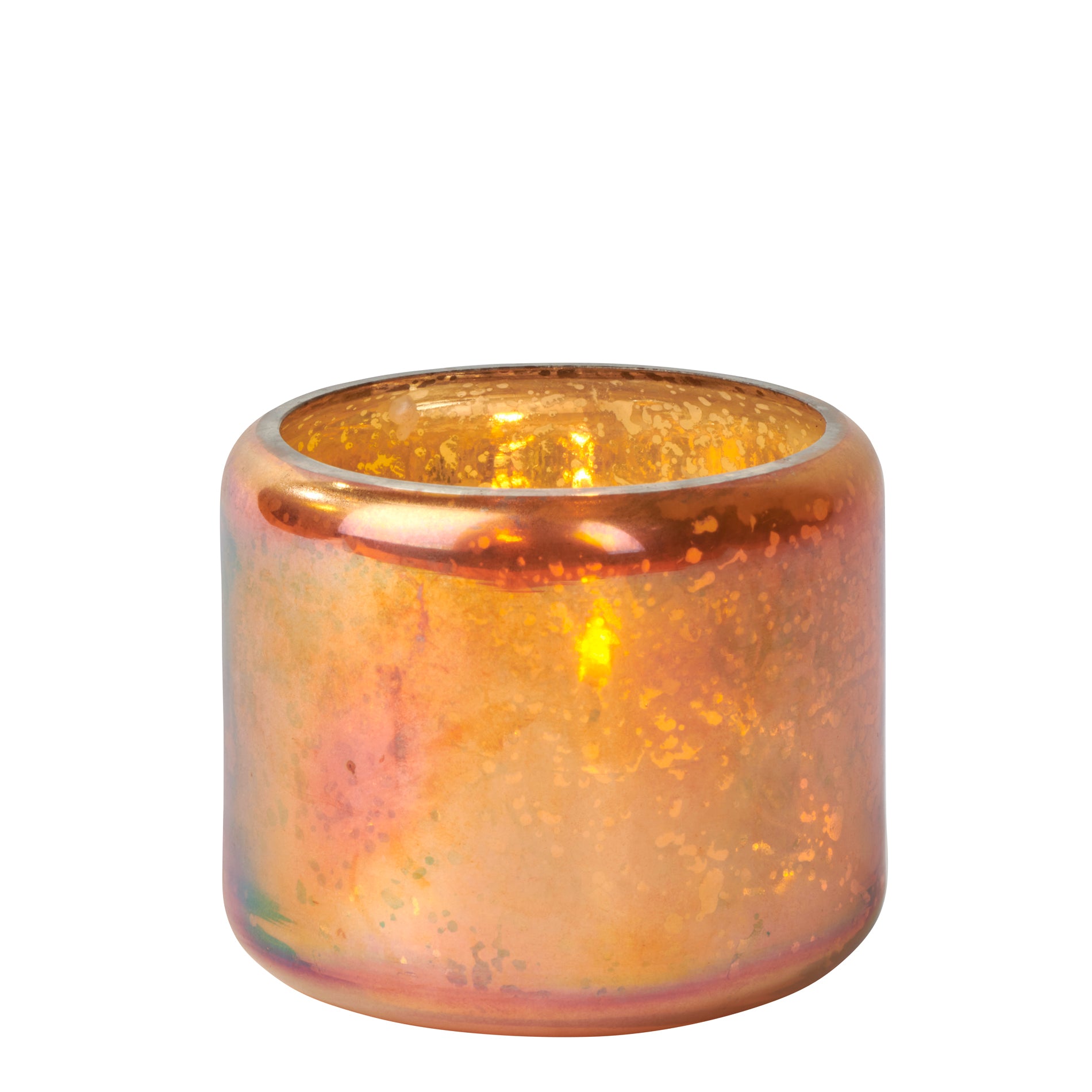 Oudare Windlicht Glas strelitzie