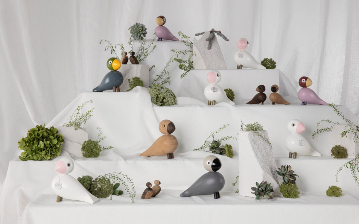 Singvogel Nachtigall aqua