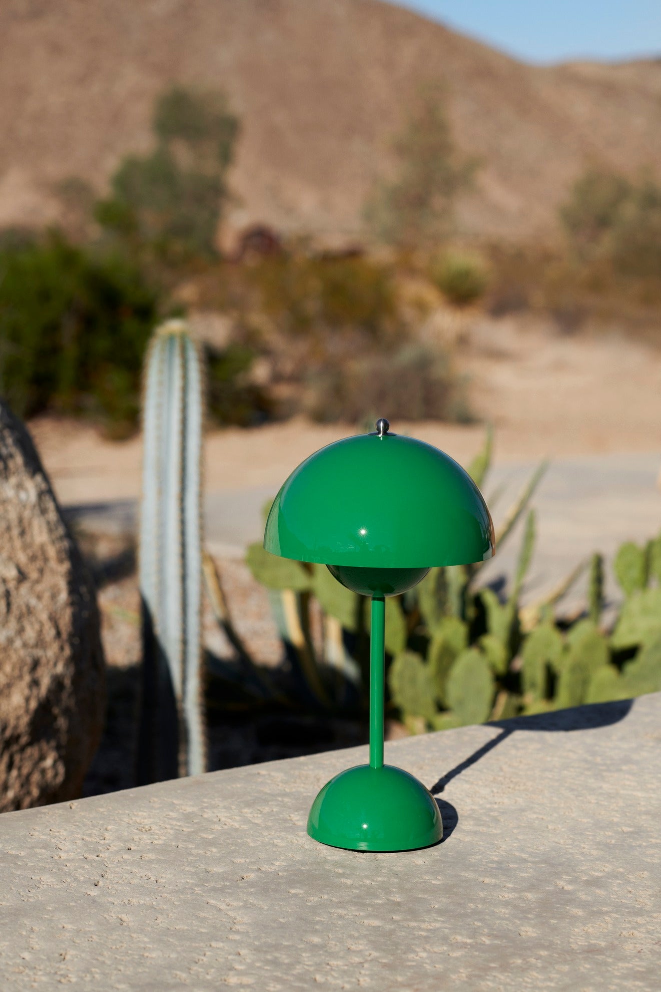 Flowerpot VP9 Signal Green