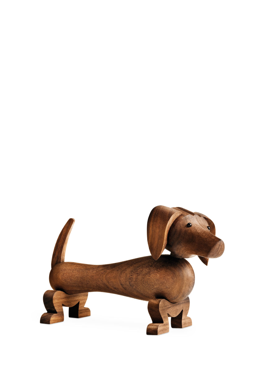 Hund klein Walnuss