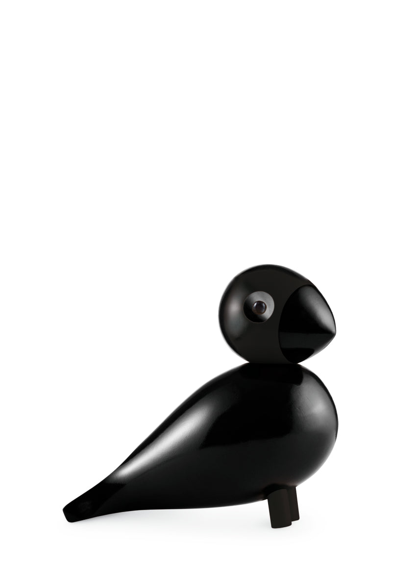 Singvogel Ravn schwarz