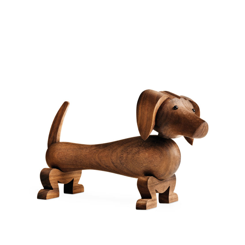 Hund klein Walnuss