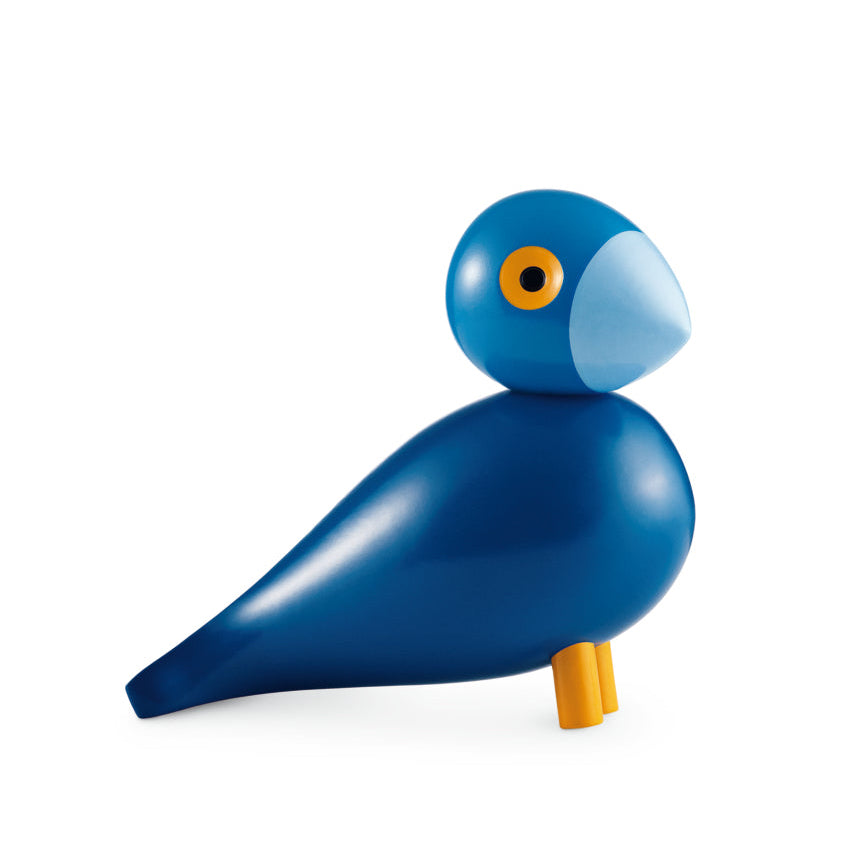 Singvogel