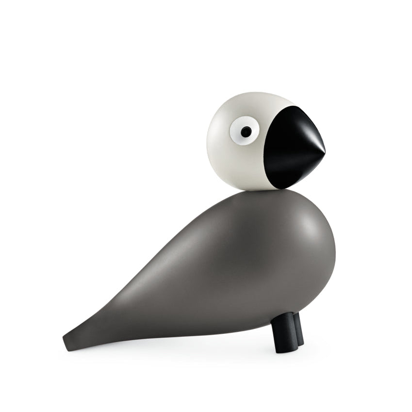 Singvogel