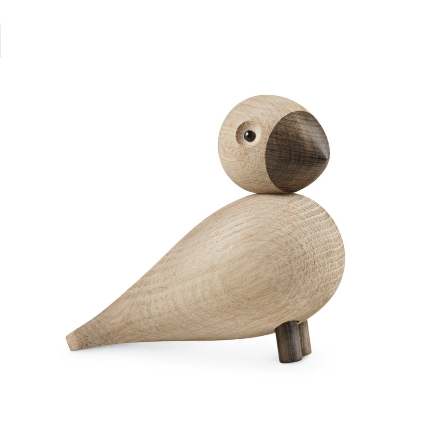Singvogel